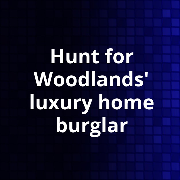 Woodlands police hunt luxury home burglar suspect