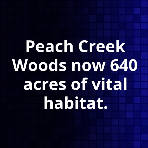 Houston Audubon Expands Peach Creek Woods to 640 Acres
