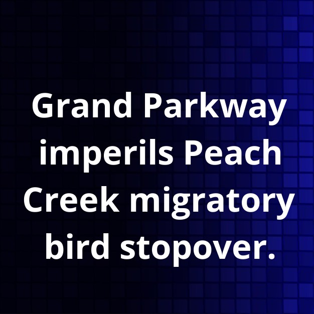 TX-99 Extension Threatens Peach Creek Bird Sanctuary