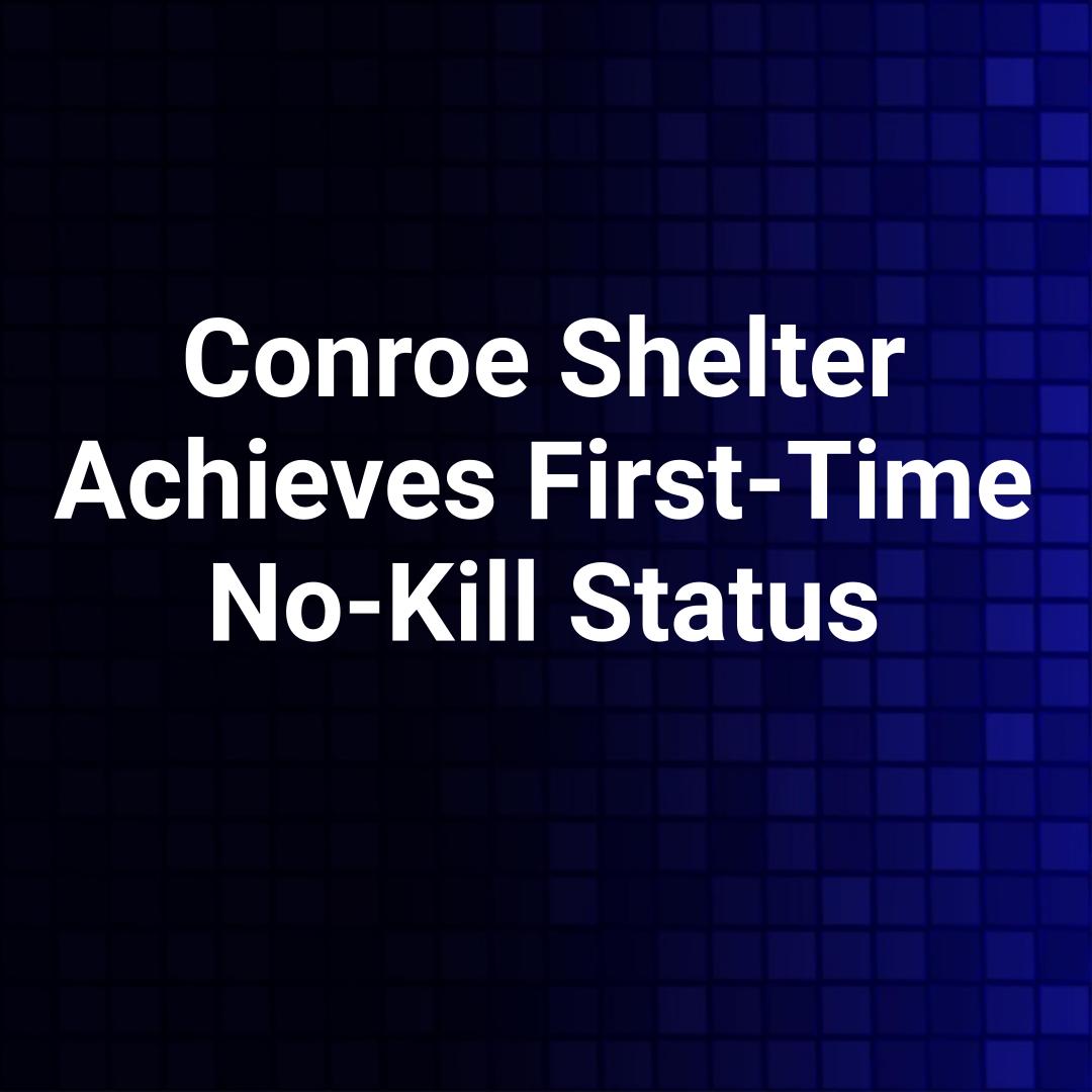 Conroe Shelter Achieves First-Time No-Kill Status
