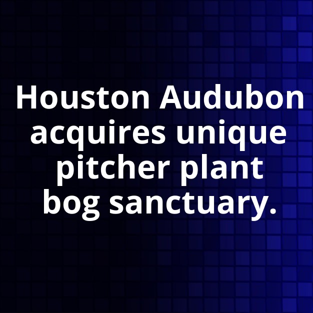 Houston Audubon Acquires 100-Acre Peach Creek Sanctuary
