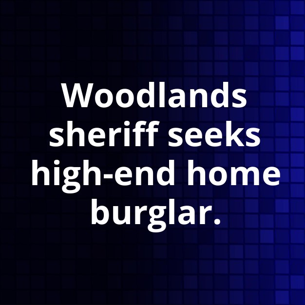 Woodlands Luxury Home Burglar Suspect Sought