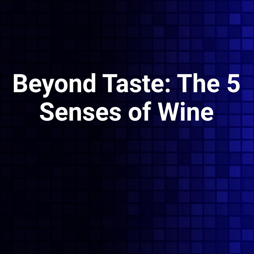 Beyond Taste: The 5 Senses of Wine