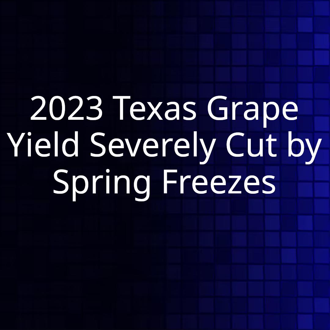 2023 Texas Grape Yield Severely Cut by Spring Freezes