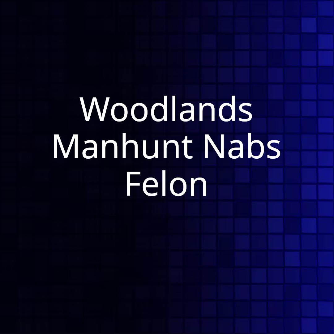 Woodlands Manhunt Nabs Felon