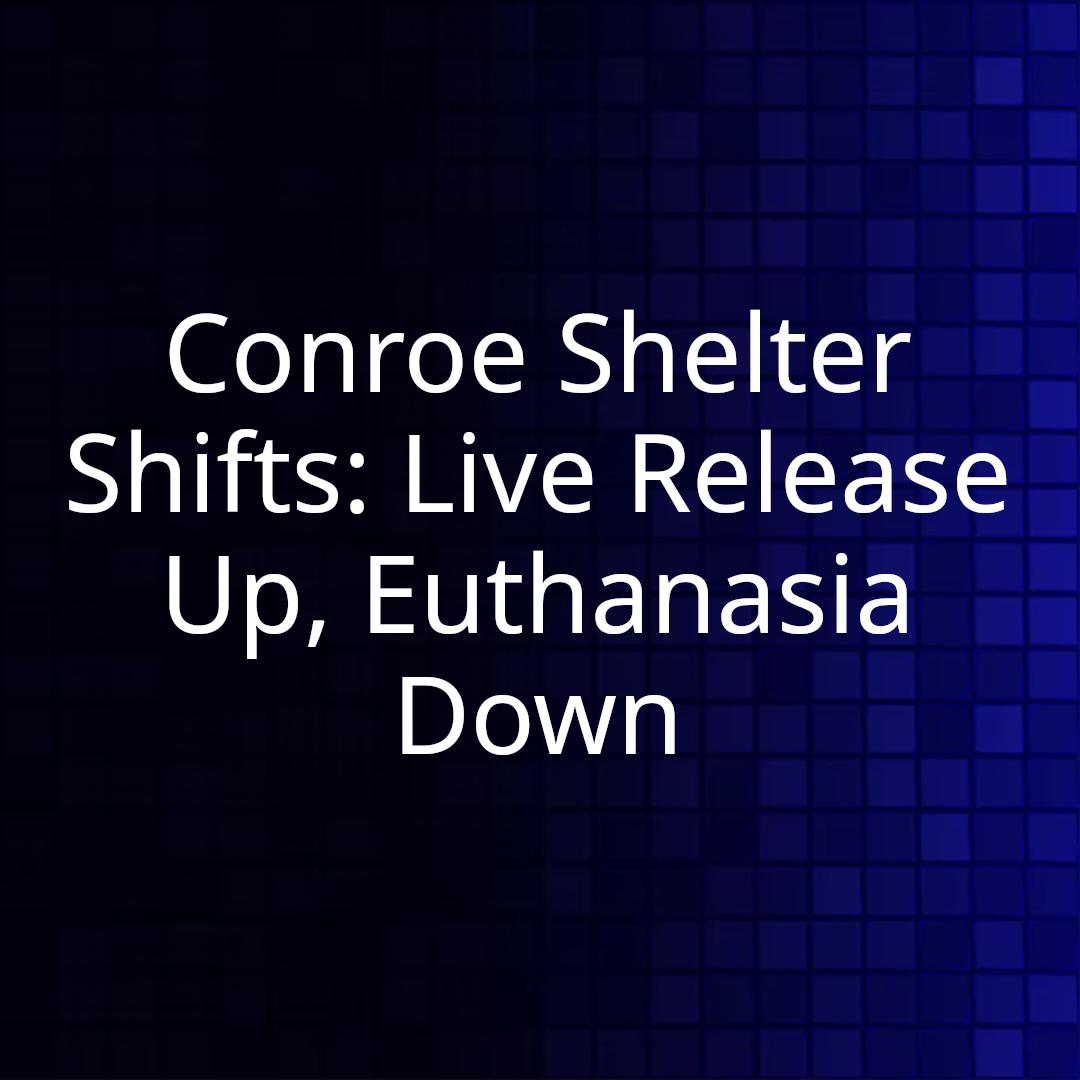 Conroe Shelter Shifts: Live Release Up, Euthanasia Down
